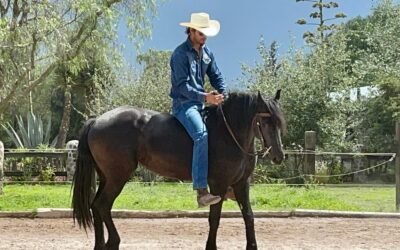 GOBIERNO ESTATAL PROMUEVE PRODUCCIÓN EQUINA DE SLP EN LA FENAPO 