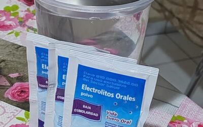 PREVENIR ENFERMEDADES DIARREICAS CON HIGIENE PERSONAL Y EN ELABORACIÓN DE ALIMENTOS