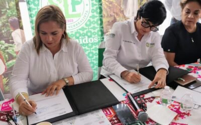 GOBIERNO ESTATAL IMPULSA MÁS APOYO A OPERADORES TURÍSTICOS