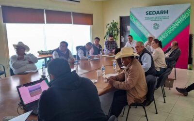 EL EJECUTIVO ESTATAL COORDINA EVALUACIÓN DE ESTATUS SANITARIO DE GANADO