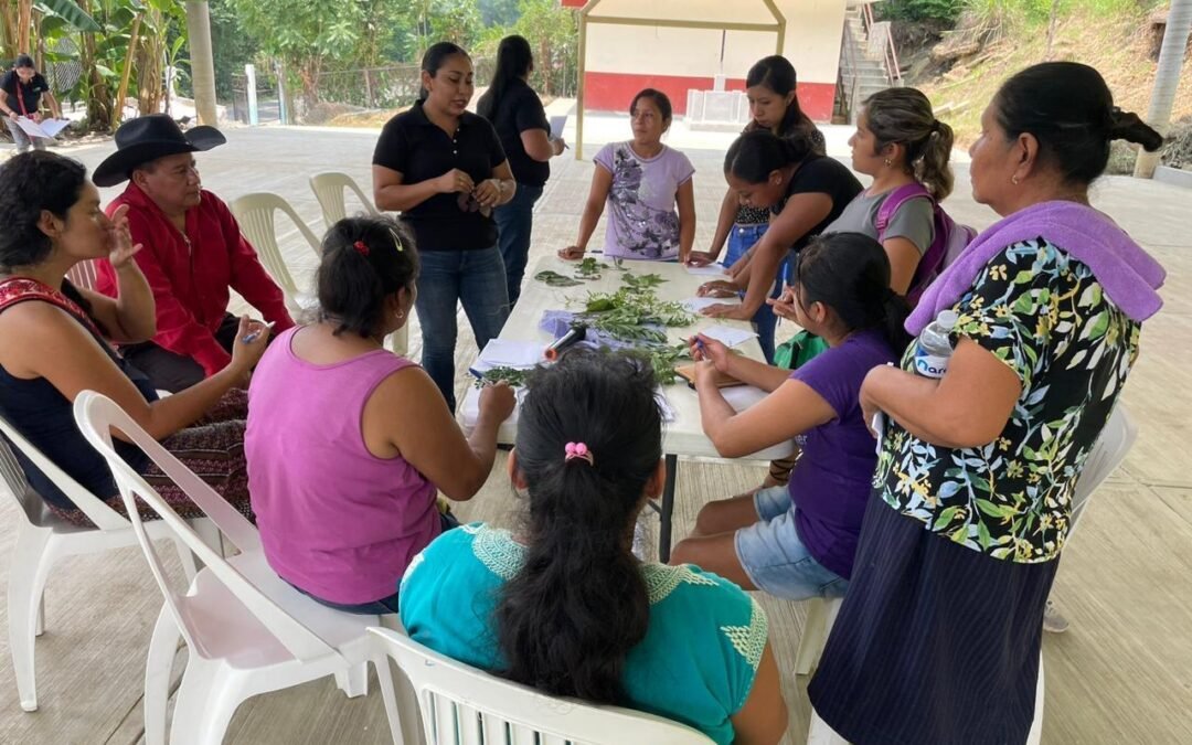 EL ESTADO PROMUEVE LA MEDICINA TRADICIONAL ENTRE JÓVENES PUEBLOS ORIGINARIOS