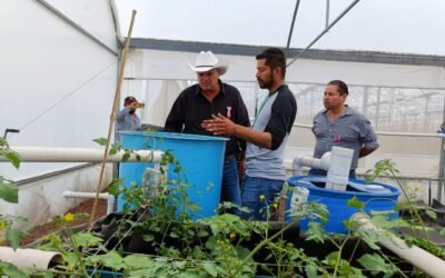 GOBIERNO ESTATAL DETONARÁ ACUAPONÍA EN APOYO A LAS FAMILIAS POTOSINAS