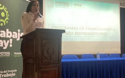 GOBIERNO ESTATAL OFERTA FINANCIAMIENTOS VERDES A NEGOCIOS SUSTENTABLES