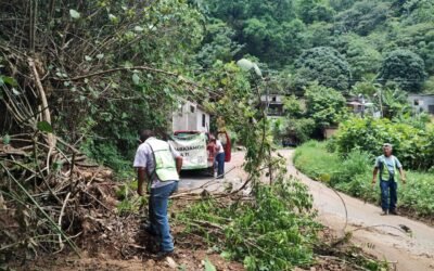 GOBIERNO ESTATAL Y AYUNTAMIENTOS GARANTIZAN LA MOVILIDAD EN EL ESTADO