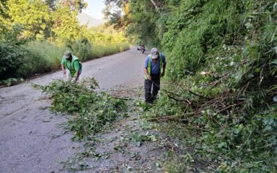 CONSERVACIÓN DE 115 KM DE CAMINOS ACERCA MÁS APOYO A LAS CUATRO REGIONES