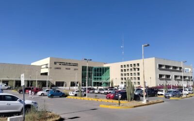 EL NACIMIENTO PREMATURO Y SU IMPACTO EN LA SALUD MATERNA