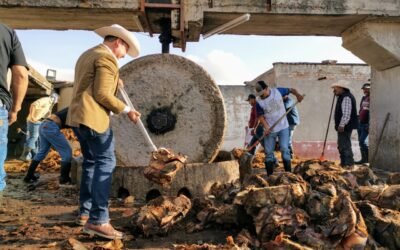 ESPECIALISTAS VITIVINÍCOLAS EXPLORAN LA ESENCIA DEL MEZCAL POTOSINO