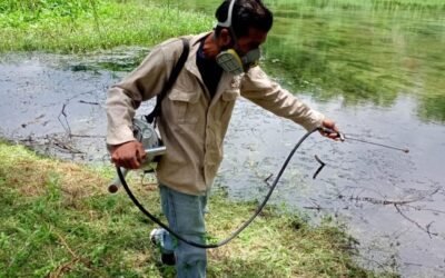 GOBIERNO ESTATAL REFUERZA ACCIONES DE PREVENCIÓN Y COMBATE DEL DENGUE