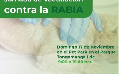 JORNADA INTENSIVA DE VACUNACIÓN CONTRA LA RABIA