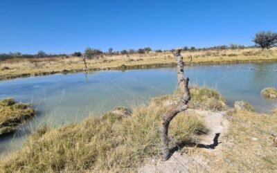 GOBIERNO ESTATAL FOMENTA EL CUIDADO DEL MEDIO AMBIENTE