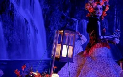 FIESTA DE LUZ EN CASCADAS DE TAMASOPO CAUTIVA A VISITANTES 