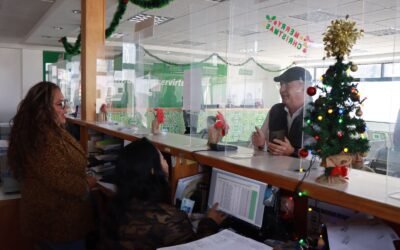 OFICINAS RECAUDADORAS BRINDARÁN SERVICIO EL 31 DE DICIEMBRE