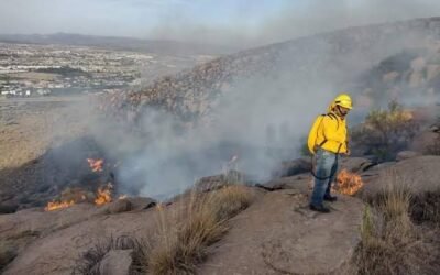 GOBIERNO ESTATAL APRUEBA PLAN ANTIINCENDIOS 2025