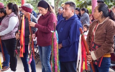 JUECES AUXILIARES DE GRAN IMPORTANCIA EN LA JUSTICIA COMUNITARIA