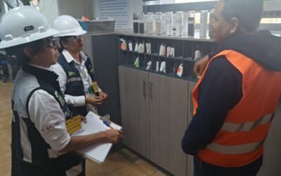 SE HAN CONSOLIDADO ESTRATEGIAS EN MATERIA DE CONTROL DE TABACO Y EMISIONES