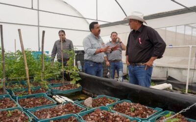 EL ESTADO LLEVA APOYO A LAS FAMILIAS CON MÁS DE CIEN PROYECTOS DE ACUAPONÍA