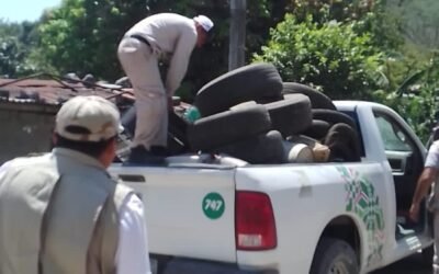 LA DESCACHARRIZACIÓN ES UNA DE LAS MEDIDAS MÁS EFECTIVAS PARA LA PREVENCIÓN DEL DENGUE