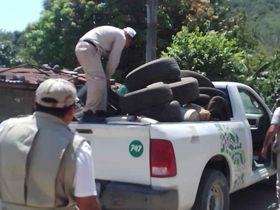LA DESCACHARRIZACIÓN ES UNA DE LAS MEDIDAS MÁS EFECTIVAS PARA LA PREVENCIÓN DEL DENGUE