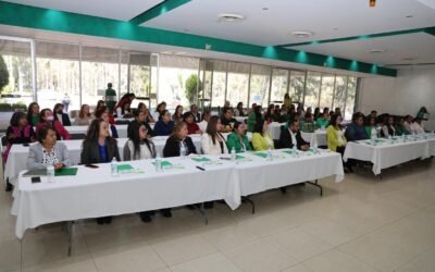 GOBIERNO ESTATAL CAPACITA A PERSONAL DEL DIF EN OPTIMIZACIÓN DE PROGRAMAS SOCIALES