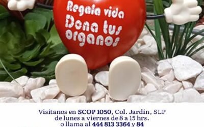 DONAR ÓRGANOS ES UN ACTO DE AMOR Y SOLIDARIDAD