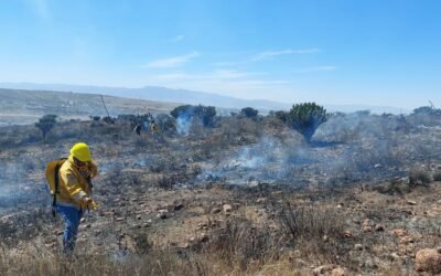 EL ESTADO EN VIGILANCIA PERMANENTE POR TEMPORADA DE INCENDIOS FORESTALES