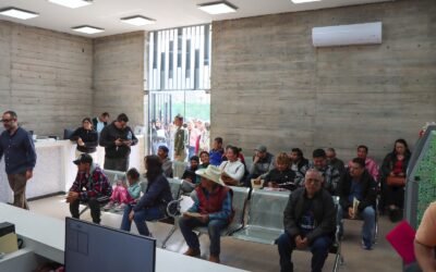 RECAUDADORAS ENTREGAN HOLOGRAMAS Y TARJETAS DE CIRCULACIÓN A CONTRIBUYENTES