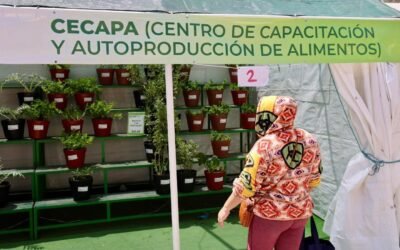 GOBIERNO ESTATAL BRINDA ASESORÍA Y APOYO A FAMILIAS PARA PRODUCCIÓN DE ALIMENTOS