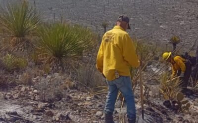 GOBIERNO DEL ESTADO CAPACITARÁ A COMBATIENTES FORESTALES