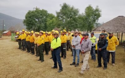 CONTROLADOS Y LIQUIDADOS LOS INCENDIOS FORESTALES EN EL ESTADO