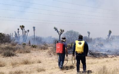 GOBIERNO DEL ESTADO Y LA FEDERACIÓN TRABAJAN EN EL COMBATE DE INCENDIOS FORESTALES