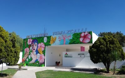 EJECUTIVO ESTATAL COMBATE ADICCIONES EN LAS CUATRO REGIONES