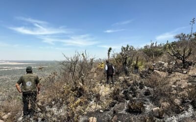 GOBIERNO DEL ESTADO TRABAJA EN EL COMBATE DE LOS INCENDIOS FORESTALES EN EL ESTADO