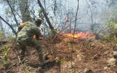 EJERCITO MEXICANO INTENSIFICA COMBATE A INCENDIOS FORESTALES