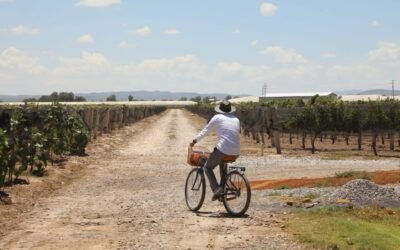 ¡PREPÁRATE PARA DISFRUTAR EL FESTIVAL INTERNACIONAL DEL VINO EN SLP!