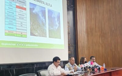 INCANSABLE TRABAJO CONTRA INCENDIOS FORESTALES