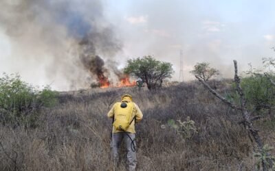 PROTECCIÓN CIVIL ESTATAL Y BOMBEROS SOFOCAN INCENDIO EN CAPULINES