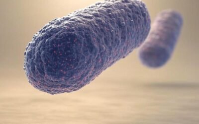 FORTALECE SALUD ACCIONES PARA REDUCIR RIESGOS POR RICKETTSIOSIS