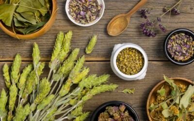 DÍA NACIONAL DE LA HERBOLARIA Y LA MEDICINA TRADICIONAL