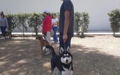 INPOJUVE INICIA GRUPOS DE OBEDIENCIA CANINA