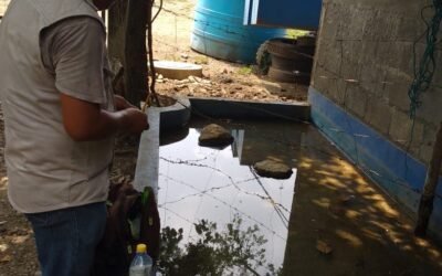 TODOS PODEMOS PONERLE UN ALTO AL DENGUE, CONTRIBUYAMOS A LA SALUD PÚBLICA