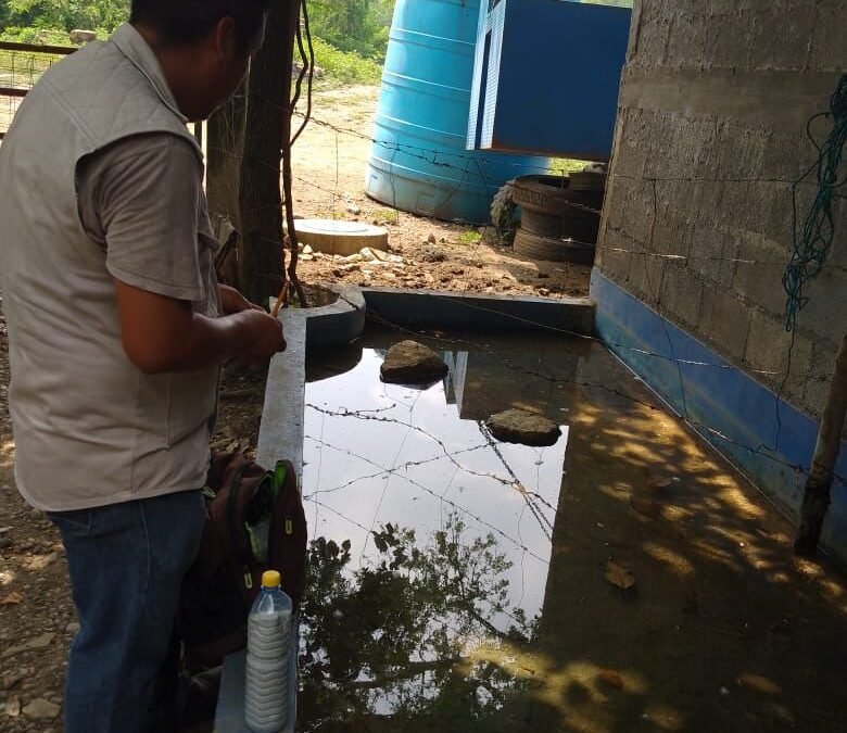 TODOS PODEMOS PONERLE UN ALTO AL DENGUE, CONTRIBUYAMOS A LA SALUD PÚBLICA