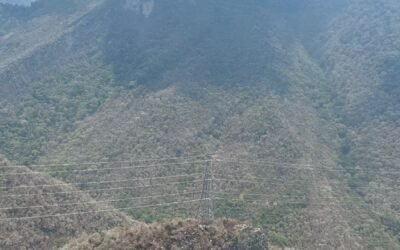 COMITÉ DEL MANEJO DEL FUEGO INFORMA QUE NO HAY INCENDIOS FORESTALES ACTIVOS EN LA ENTIDAD