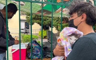 JORNADA ESTATAL DE VACUNACIÓN CANINA Y FELINA DEL 12 AL 30 DE MAYO 2025