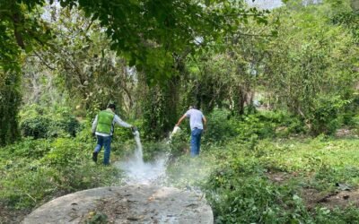 ANTE LA PRESENCIA DE LLUVIAS ES NECESARIO REFORZAR ACCIONES DE SANEAMIENTO BÁSICO EN EL HOGAR Y SITIOS PÚBLICOS. ·