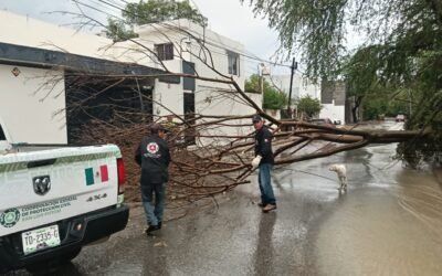PROTECCIÓN CIVIL DEL ESTADO ATIENDE REPORTES DE LLUVIAS EN CIUDAD VALLES