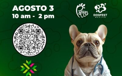 GOBIERNO ESTATAL INVITA A CAMPAÑA BIENESTAR PERRUNO