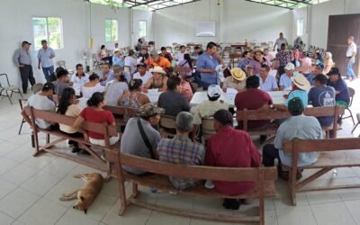 ASESORÍA SIN LÍMITES EN MATERIA DE CONSULTA INDÍGENA