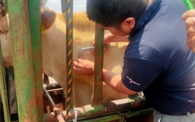 GANADEROS SON CAPACITADOS CONTRA PLAGAS Y ENFERMEDADES