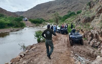 INCLUSIVO PLAN DE DESARROLLO METROPOLITANO Y ÁREA CONURBADA