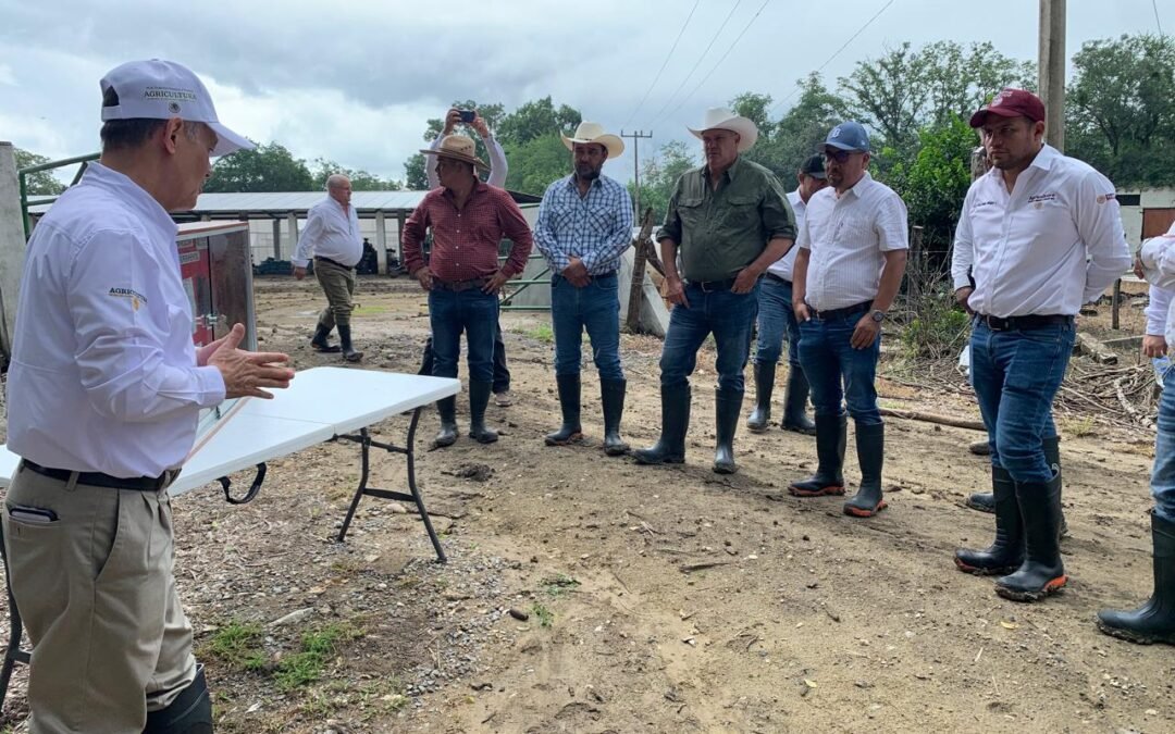 CAÑEROS DE LA HUASTECA RECIBEN APOYO SIN LÍMITES